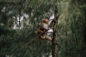 Image lliampaterson.co.uk 2325 1746310180200